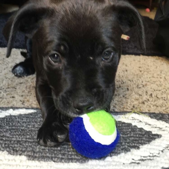 Smile- you’re shopping! Bonus “bargain hunting” - Picture 3 of 15